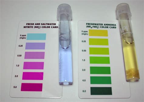 how to test hardness of aquarium water|fish tank water test chart.